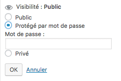 Blog WordPress privé avec mot de passe